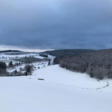 Appartement Familie Willems Winterberg 3 Bagian luar foto