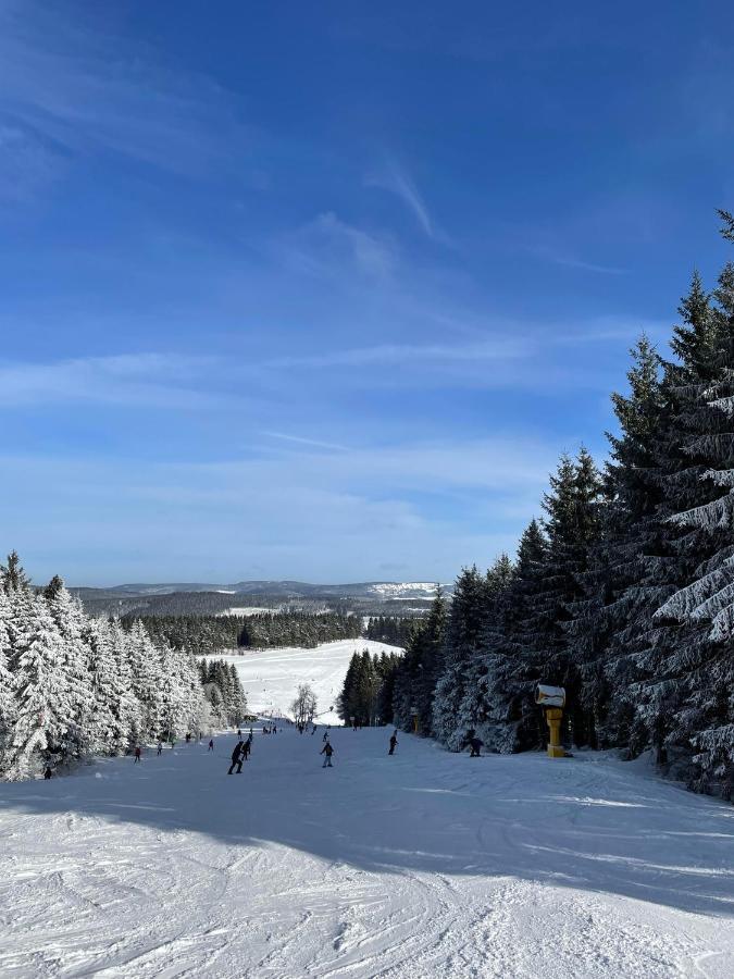 Appartement Familie Willems Winterberg 3 Bagian luar foto